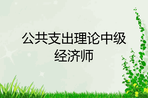 公共支出理论中级经济师