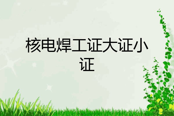 核电焊工证大证小证