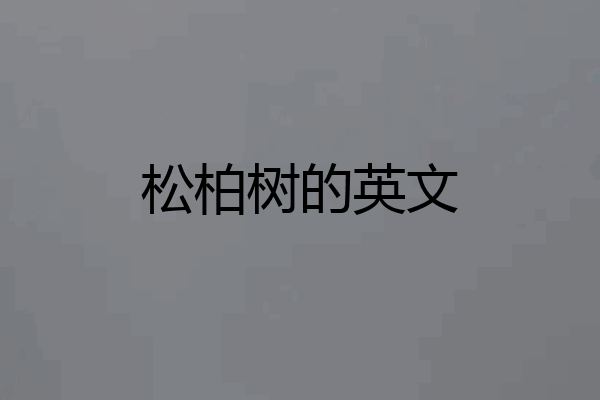 松柏树的英文