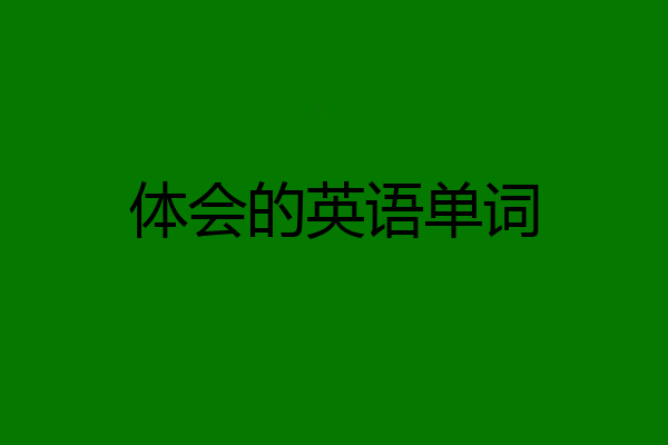 体会的英语单词