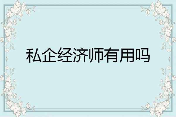 私企经济师有用吗