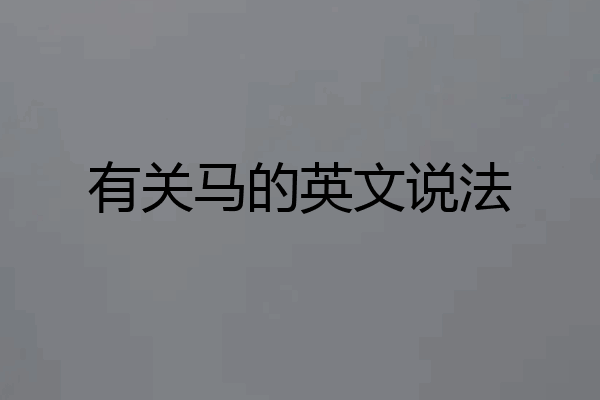 有关马的英文说法