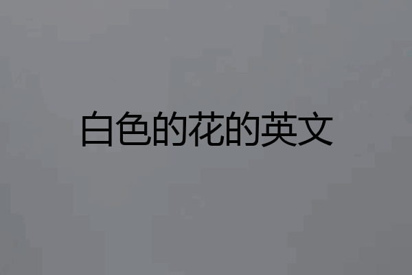 白色的花的英文