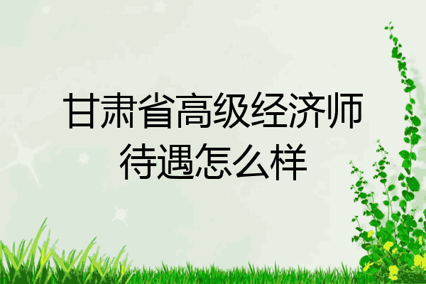 甘肃省高级经济师待遇怎么样