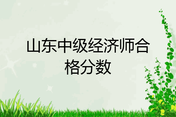 山东中级经济师合格分数