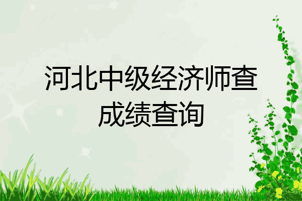 河北中级经济师查成绩查询