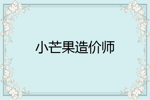 小芒果造价师