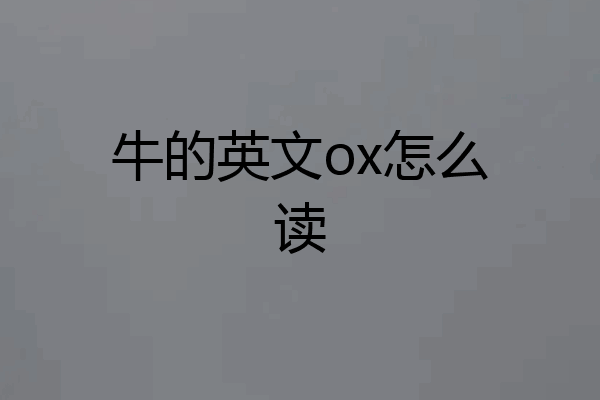 牛的英文ox怎么读