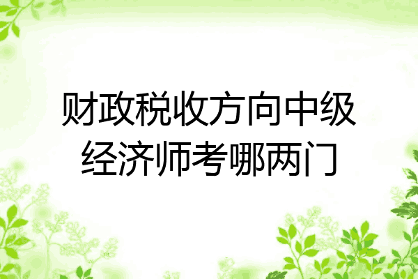 财政税收方向中级经济师考哪两门