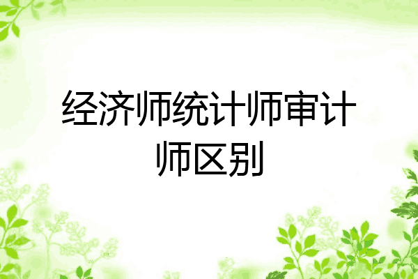 经济师统计师审计师区别