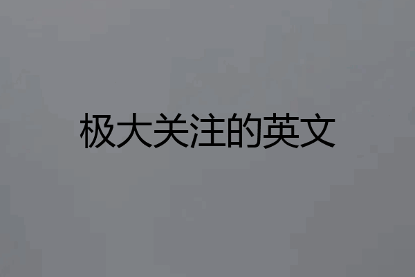 极大关注的英文