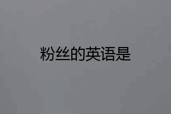 粉丝的英语是