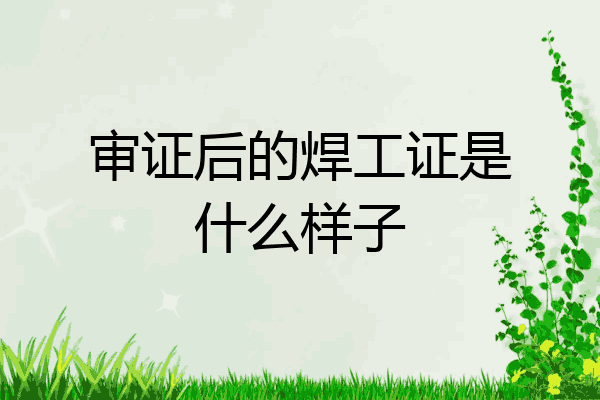 审证后的焊工证是什么样子