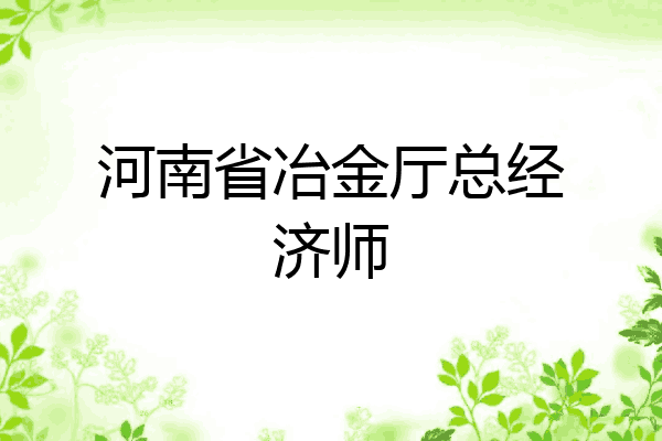 河南省冶金厅总经济师