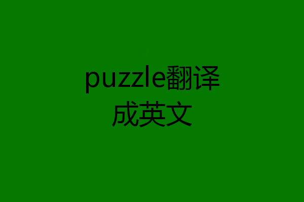 puzzle翻译成英文