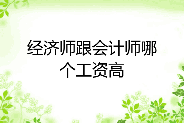 经济师跟会计师哪个工资高