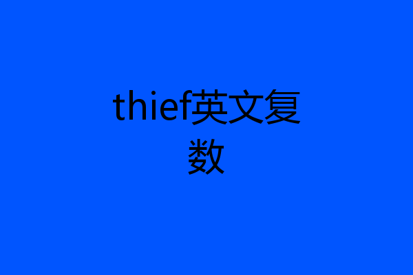 thief英文复数