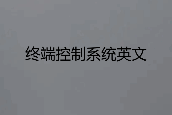 终端控制系统英文