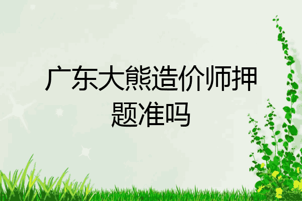 广东大熊造价师押题准吗