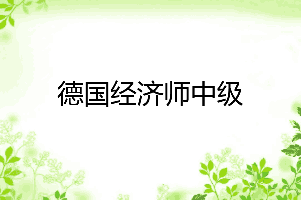 德国经济师中级