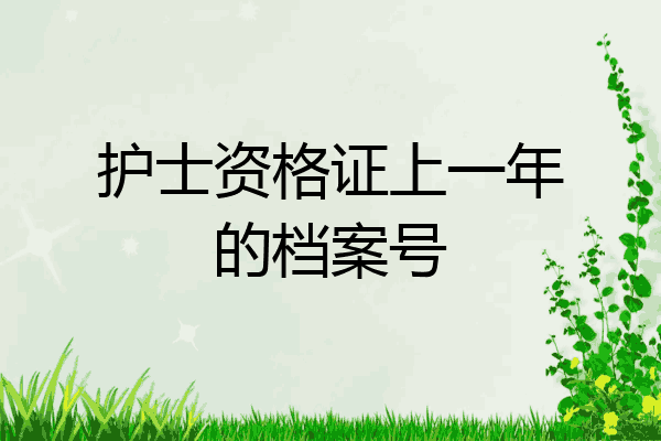 护士资格证上一年的档案号