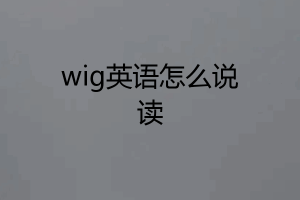 wig英语怎么说读