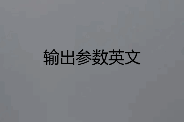输出参数英文