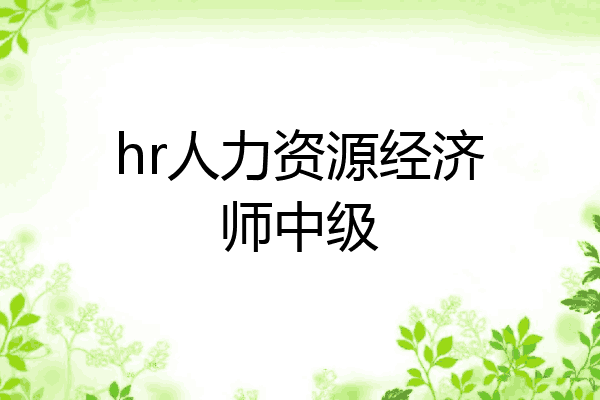 hr人力资源经济师中级