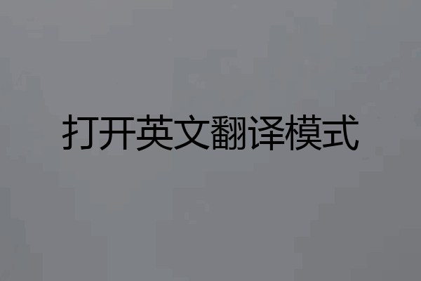 打开英文翻译模式