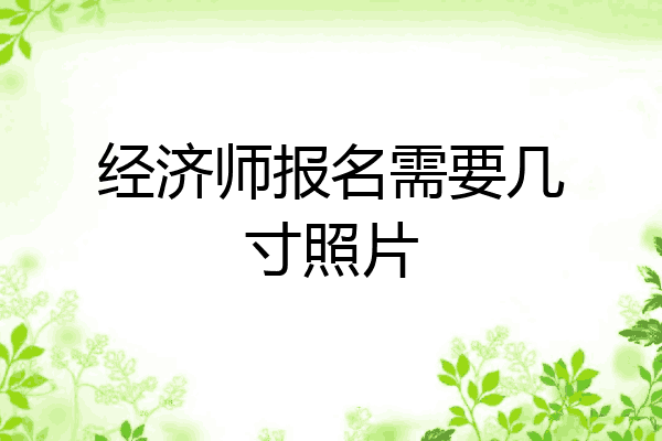 经济师报名需要几寸照片