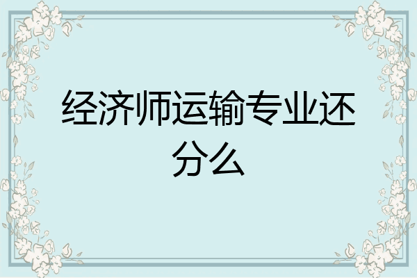 经济师运输专业还分么