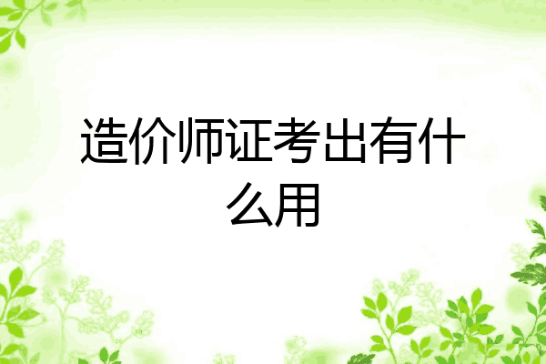 造价师证考出有什么用