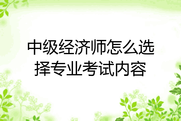 中级经济师怎么选择专业考试内容