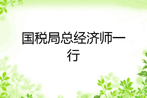 国税局总经济师一行
