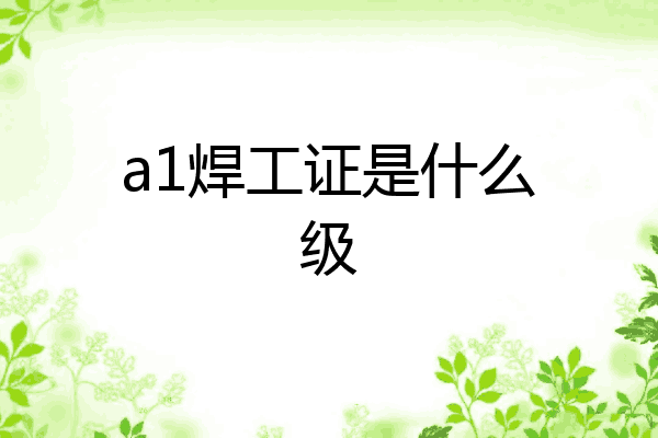 a1焊工证是什么级