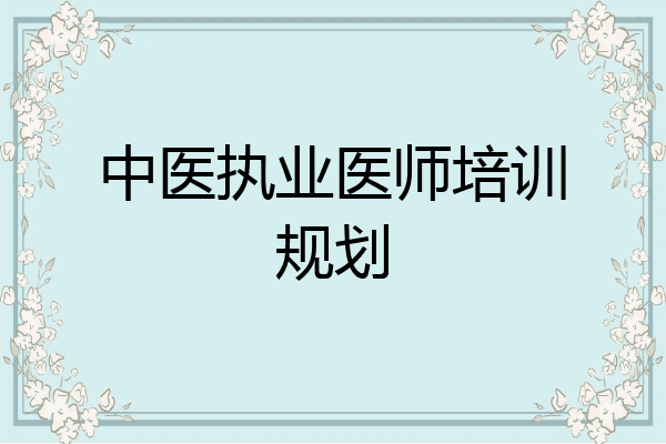 中医执业医师培训规划