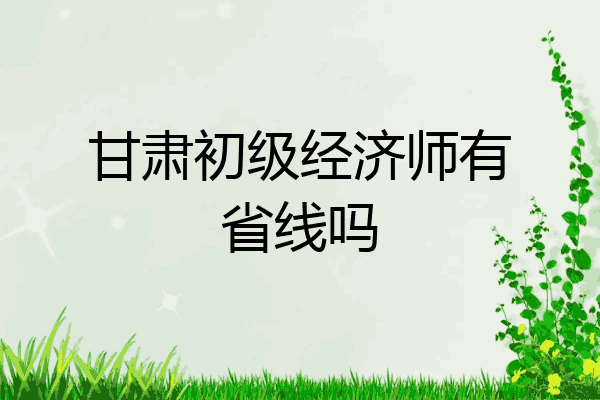 甘肃初级经济师有省线吗