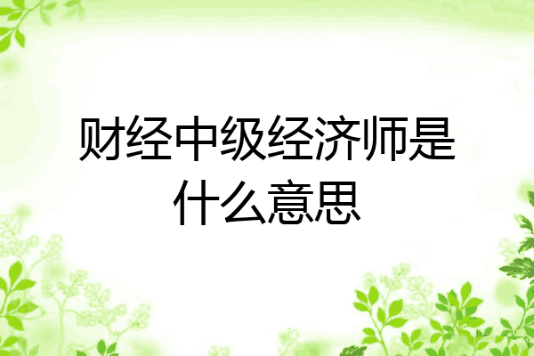财经中级经济师是什么意思