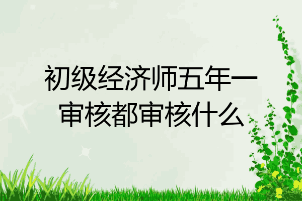 初级经济师五年一审核都审核什么