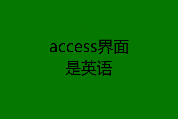 access界面是英语