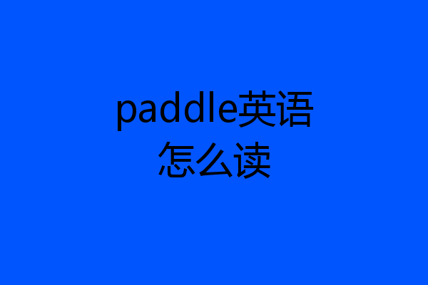 paddle英语怎么读