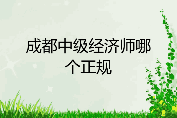 成都中级经济师哪个正规