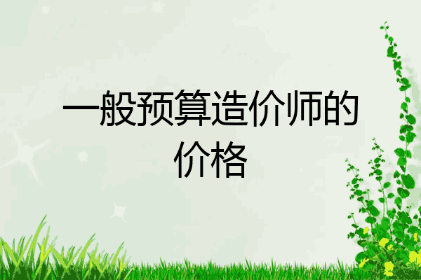 一般预算造价师的价格