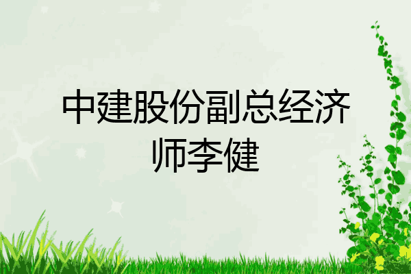 中建股份副总经济师李健
