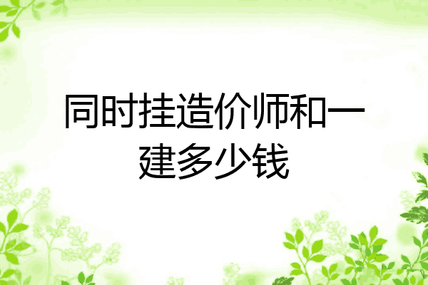 同时挂造价师和一建多少钱