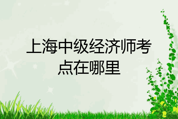 上海中级经济师考点在哪里