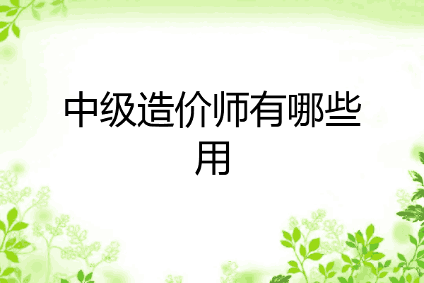 中级造价师有哪些用