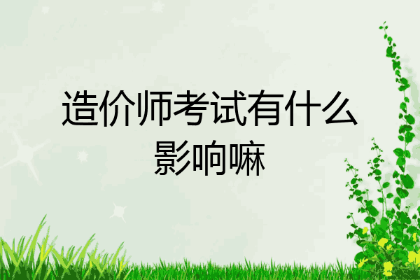 造价师考试有什么影响嘛