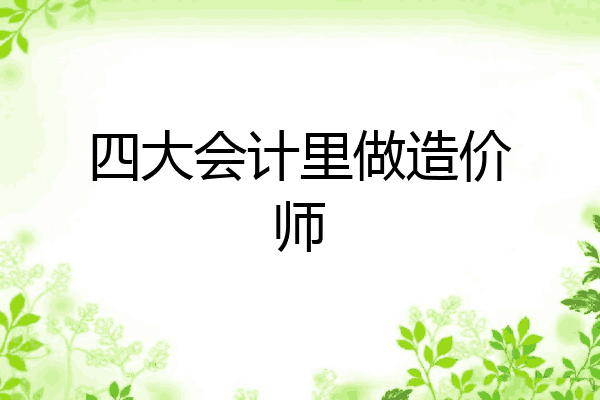 四大会计里做造价师
