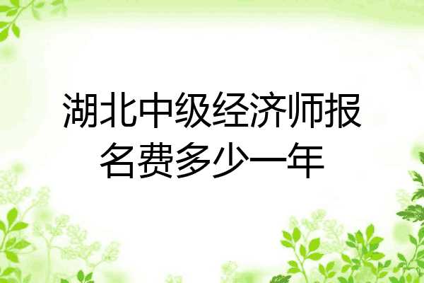 湖北中级经济师报名费多少一年